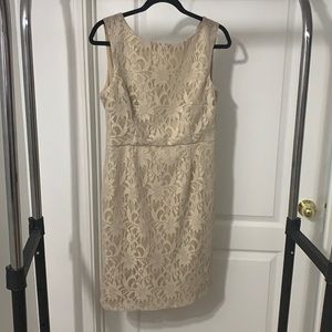 Beige Lace Le Château MidLength Dress